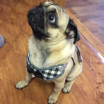 Small Dog Harness and Leash Set Pet Harness with Soft Mesh - GreenFur