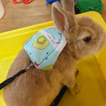 Small Pet Backpack Harness with Leash and Storage Pockets - GreenFur