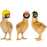 Small Pet Headwear Safety Funny Bird Hens Hat - GreenFur