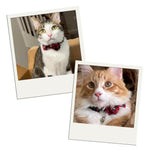 Snowflake Pattern Bow tie Pet Collar with Bell - GreenFur