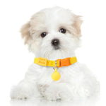 Soft and Elastic Adjustable Dogs Cat Collar Decorative Pet Necklace - GreenFur