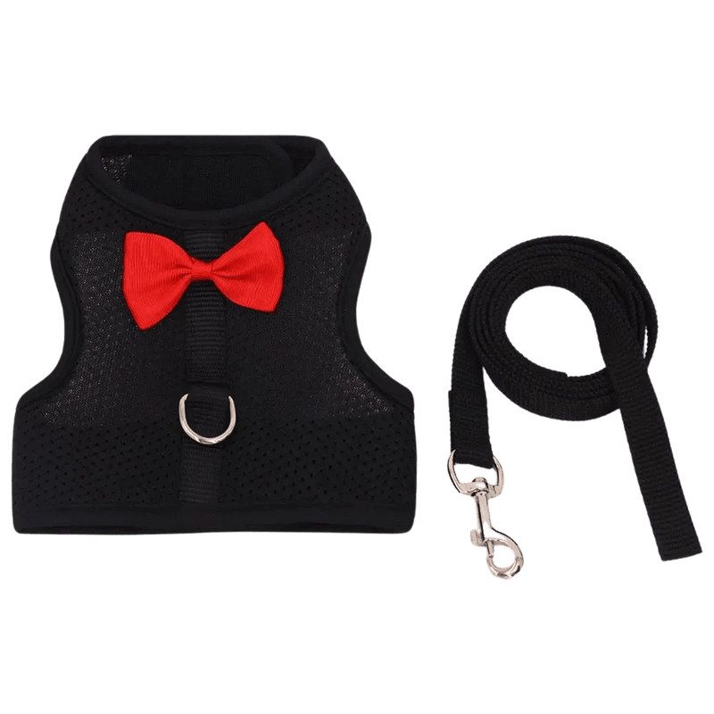 Soft Breathable Mesh Vest Rabbit Harness and Leash Set with Cute Bow, Black - GreenFur