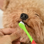 Soft Double Sided 360 Degrees Dog Toothbrush in Bulk - GreenFur