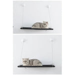 Space - Saving Cat Wall Bed with Strong Suction Cups - GreenFur