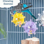 Spinning Bird Toy with Randomly Colored Beads - GreenFur