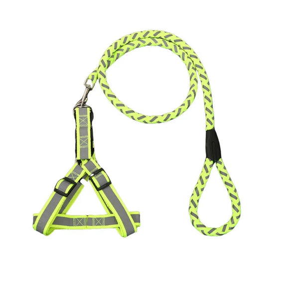 Sporty Reflective Braided Dog Leash with Harness - GreenFur