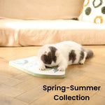 Spring - Summer Collection Tropical Desert Style Cat Scratcher - GreenFur