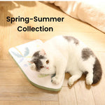 Spring - Summer Collection Tropical Desert Style Cat Scratcher - GreenFur