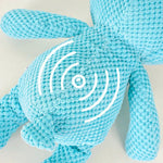 Squeaky Blue Bear Plush Dog Toy - GreenFur