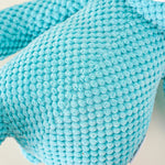 Squeaky Blue Bear Plush Dog Toy - GreenFur