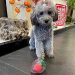 Squeaky Chew Ball Toy for Small Medium Dog Breeds - GreenFur