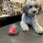 Squeaky Chew Ball Toy for Small Medium Dog Breeds - GreenFur