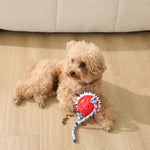 Squeaky Dog Puzzle Toy Pet Enrichment Toys - GreenFur