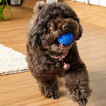 Squeaky Rubber Ball Treat Dispenser Interactive Dog Toys - GreenFur