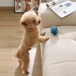 Squeaky Spiked TPR Dog Toy for Chewing and Teeth Cleaning - GreenFur