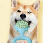 Squeaky TPR Dog Chew Toy Durable Teething Toy for Small Dogs - GreenFur