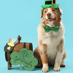 St Patrick Day Beer Clover Bow Tie Dog Collar Festive Pet Accessory - GreenFur