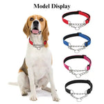 Stainless Steel Collar For Dog and Cat Chain Martingale Pet Collar - GreenFur