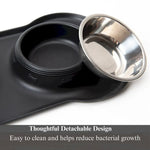 Stainless Steel Double Pet Bowl with Bone Shaped Non Slip Silicone Mat - GreenFur