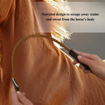 Stainless Steel Horse Scratcher and Grooming Tool - GreenFur