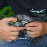 Stainless Steel Safety Cut Cat Nail Clippers - GreenFur