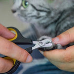 Stainless Steel Safety Cut Cat Nail Clippers - GreenFur