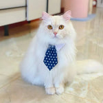 Star Pattern Necktie Pet Collar - GreenFur