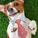 Star Pattern Necktie Pet Collar - GreenFur