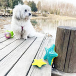 Starfish Shape Squeaky Luminous Toy TPR Floatable Dog Toys - GreenFur