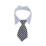 Stripe Pattern Necktie Pet Collar - GreenFur