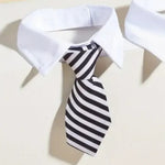Stripe Pattern Necktie Pet Collar - GreenFur