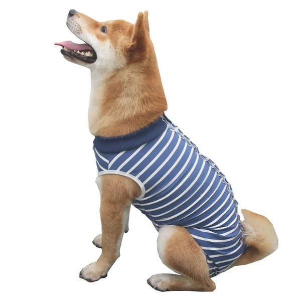 Striped Dog Post - Surgery Suit for Summer Recovery - GreenFur