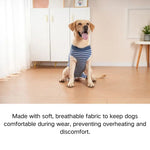 Striped Dog Post - Surgery Suit for Summer Recovery - GreenFur