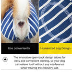 Striped Dog Post - Surgery Suit for Summer Recovery - GreenFur