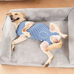 Striped Dog Post - Surgery Suit for Summer Recovery - GreenFur