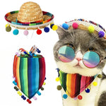 Striped Triangle Dog Scarf and Straw Hat Set with Colorful Pom - Poms - GreenFur