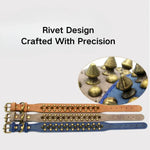 Studded Leather Collar for Medium Large Dogs - GreenFur