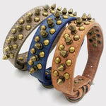 Studded Leather Collar for Medium Large Dogs - GreenFur