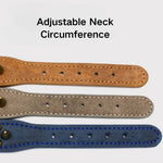 Studded Leather Collar for Medium Large Dogs - GreenFur