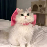 Stylish Adjustable Large Bow Cat Collar - GreenFur