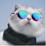 Stylish Cool Pet Sunglasses Cute Cats Costumes Glasses - GreenFur