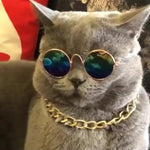 Stylish Cool Pet Sunglasses Cute Cats Costumes Glasses - GreenFur