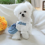 Stylish Denim Dog Dress Outfit for Small Breeds - GreenFur
