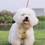 Summer 4 Color Option Pet Harness and Leash Set - GreenFur