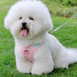 Summer 4 Color Option Pet Harness and Leash Set - GreenFur