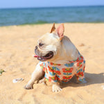 Summer Breathable Mesh Cooling T-Shirt for Dogs - GreenFur