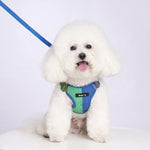 Summer Color blocking Pet Harness and Leash Set - GreenFur
