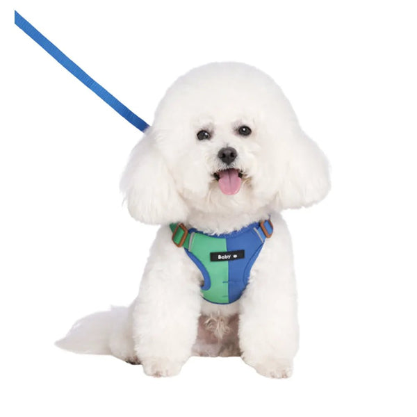Summer Color blocking Pet Harness and Leash Set - GreenFur