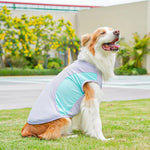 Summer Cooling Dog Vest Ice Silk Fabric Lightweight Sun Protection - GreenFur