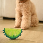 Summer Cooling Squeaky Teething Chew TPR Dog Frozen Toys - GreenFur
